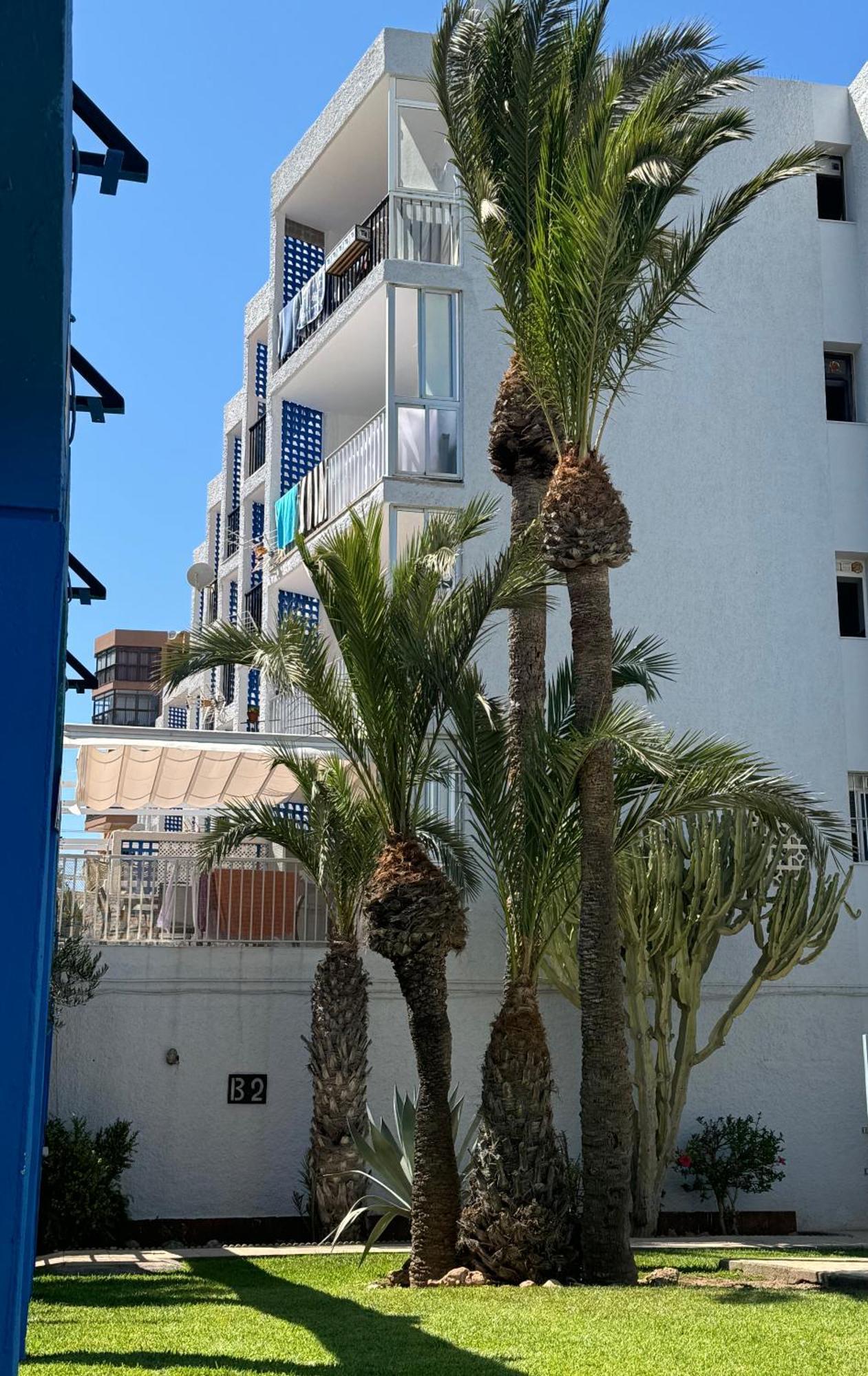 Chumberas Apartment Roquetas de Mar